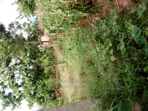 A Plot for Sale Kibaha Kwa Mathias