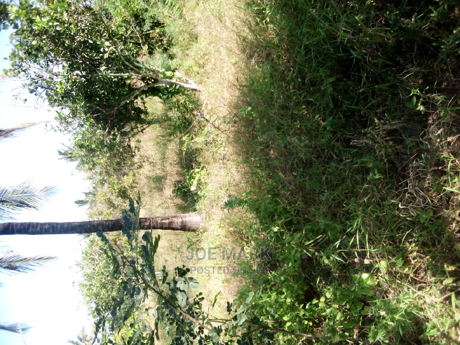 Kiwanja Kinauzwa,Kibaha Mwenda Pole