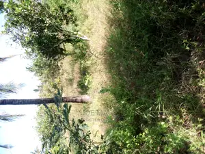 Kiwanja Kinauzwa,Kibaha Mwenda Pole