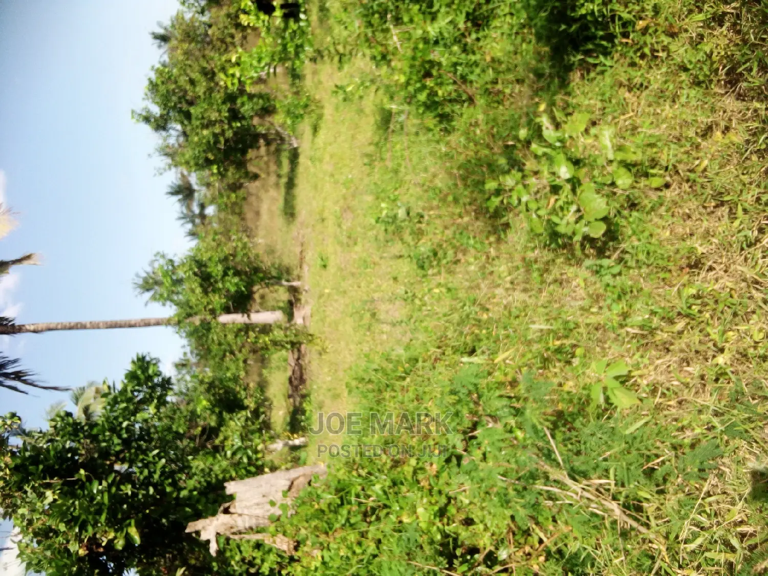 Kiwanja Kinauzwa,Kibaha Mwenda Pole