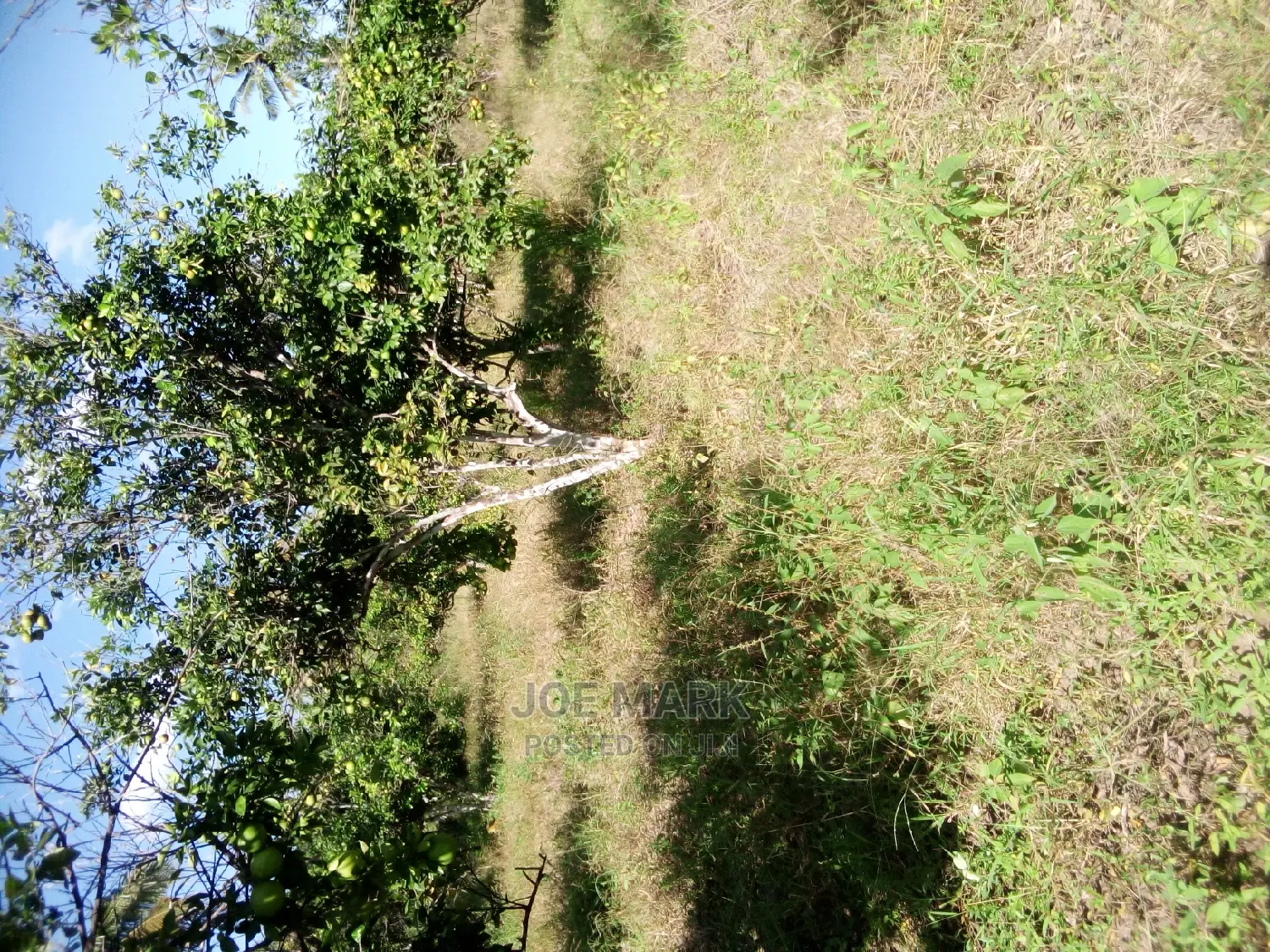 Kiwanja Kinauzwa,Kibaha Mwenda Pole