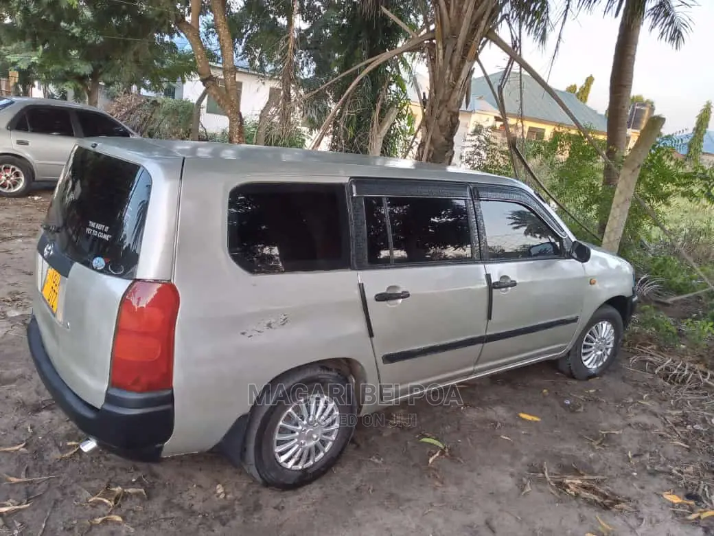 Toyota Succeed 2004 Silver