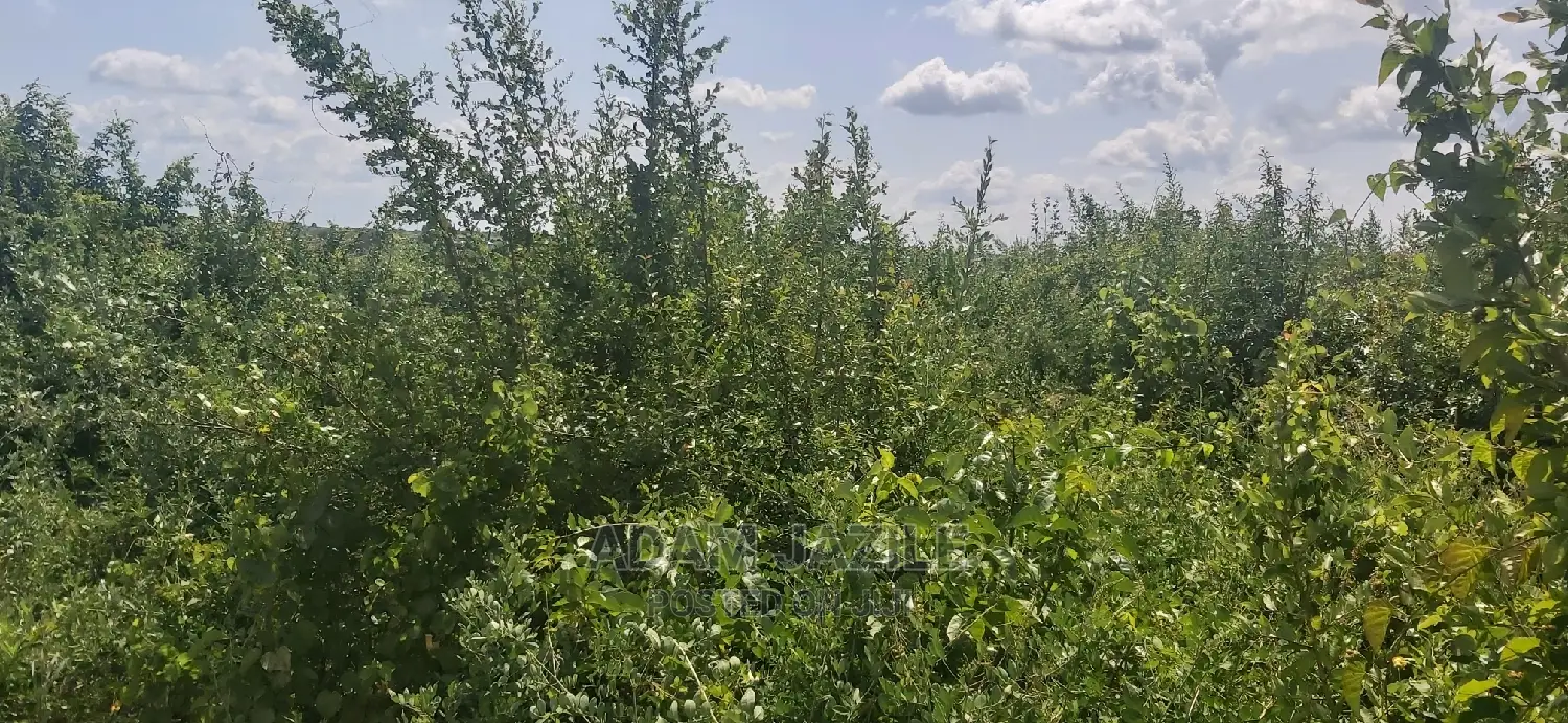 Shamba La Ekari 50 Linauzwa Mbwewe Bagamoyo Pwani
