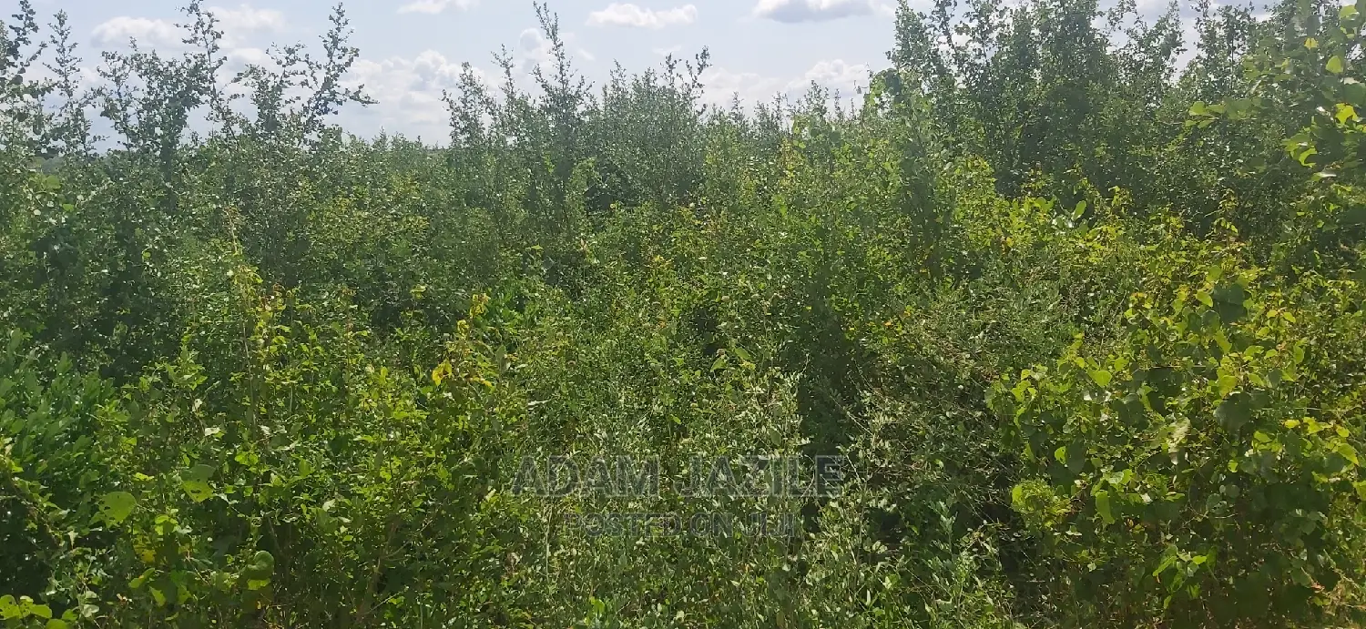 Shamba La Ekari 50 Linauzwa Mbwewe Bagamoyo Pwani