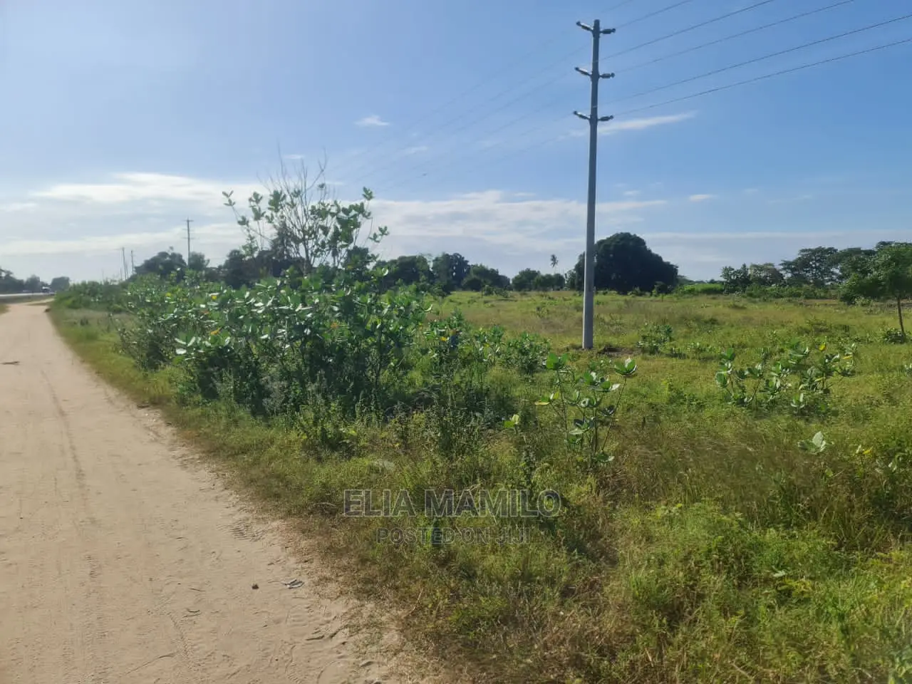 Eneo LA Linauzwa, Linagusa Lami, Bagamoyo Mizani.