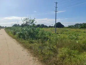 Eneo LA Linauzwa, Linagusa Lami, Bagamoyo Mizani.