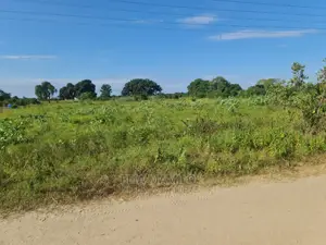 Eneo LA Linauzwa, Linagusa Lami, Bagamoyo Mizani.