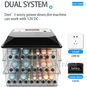 112 Incubator Machine Eggs