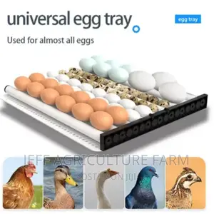 112 Incubator Machine Eggs