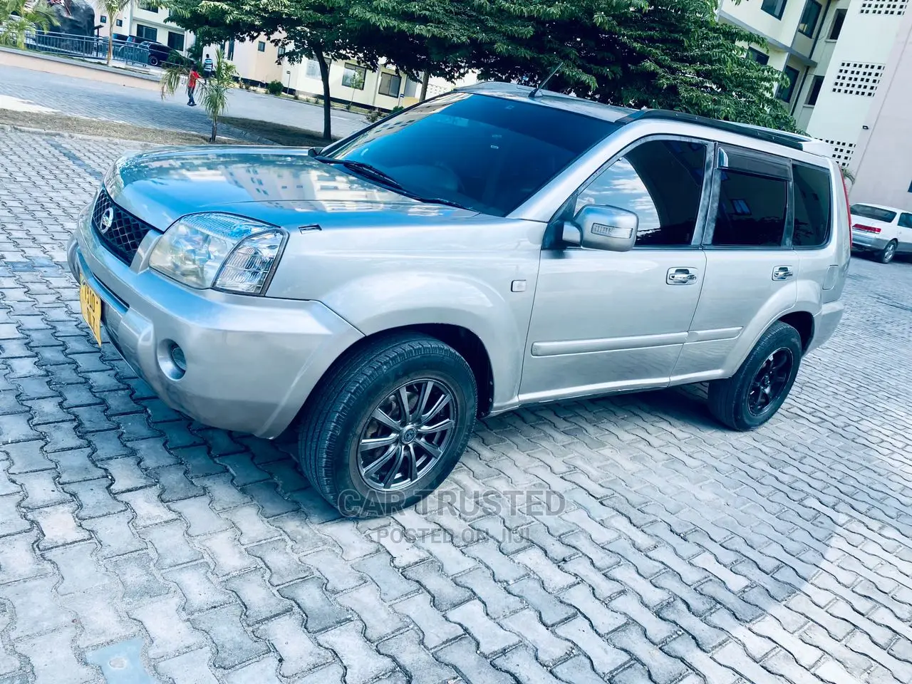 Nissan X-Trail 2.0 Comfort 2007 Silver