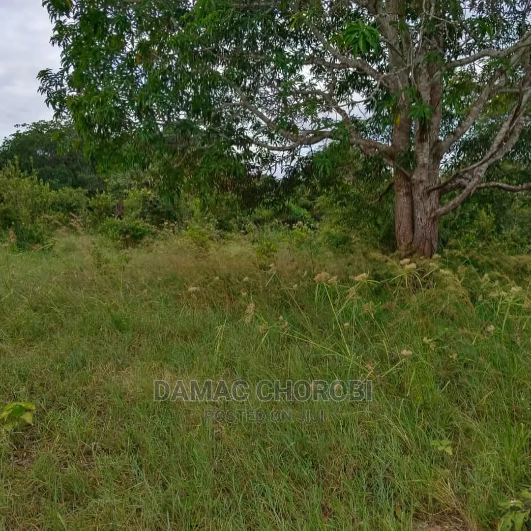 Shamba Linauzwa Kiwangwa Bagamoyo Ukubwa Acre 6