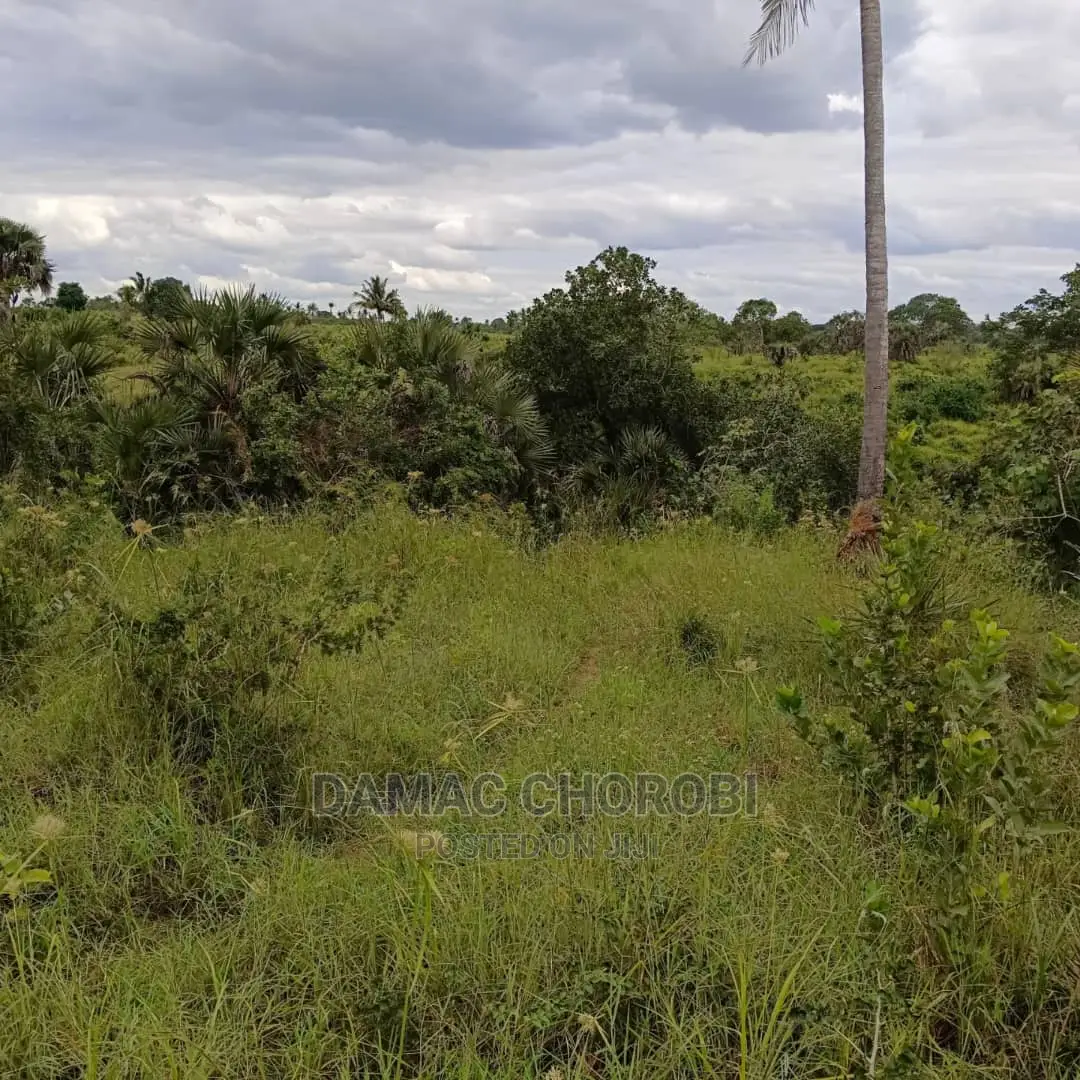 Shamba Linauzwa Kiwangwa Bagamoyo Ukubwa Acre 6