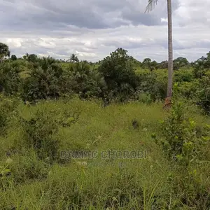 Shamba Linauzwa Kiwangwa Bagamoyo Ukubwa Acre 6