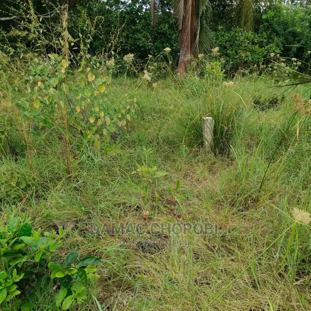 Acre 5 for Sale Bago Kiwangwa