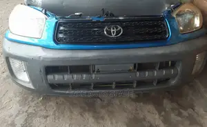 Toyota RAV4 2002 Nosecut