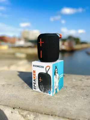Booms 350 Portable Speaker