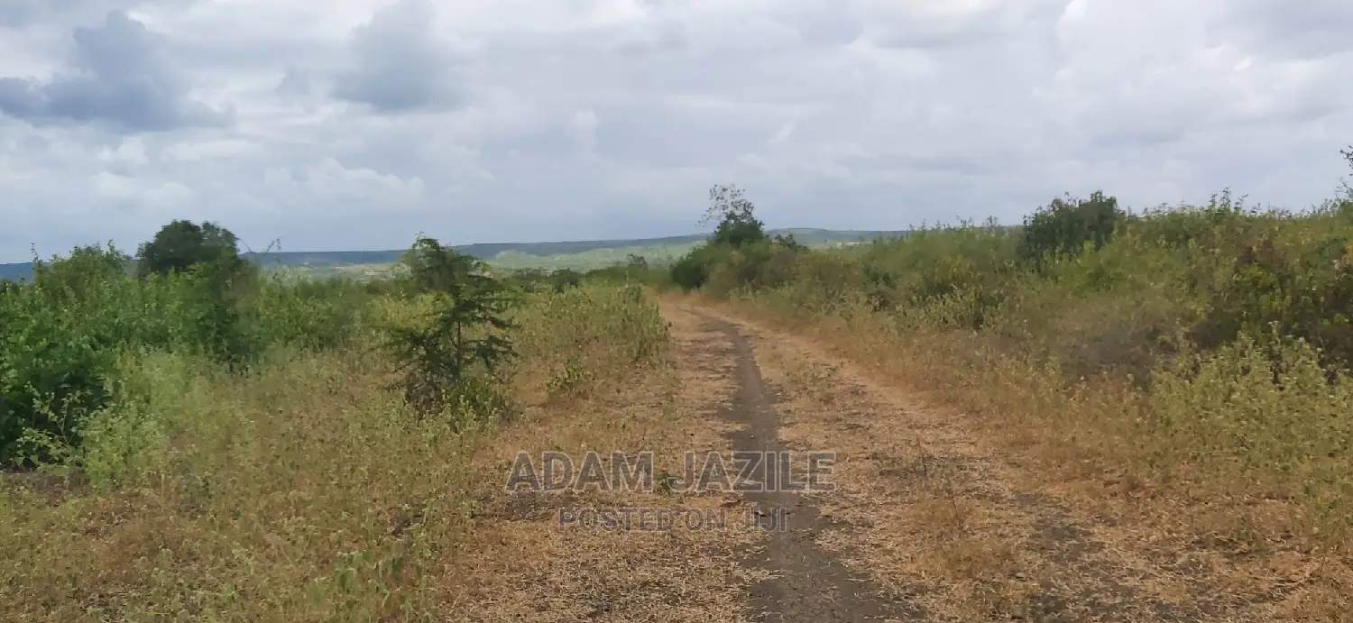 Shamba La Ekari 100 Linauzwa Mwetemo