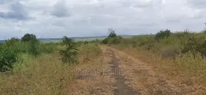 Shamba La Ekari 100 Linauzwa Mwetemo