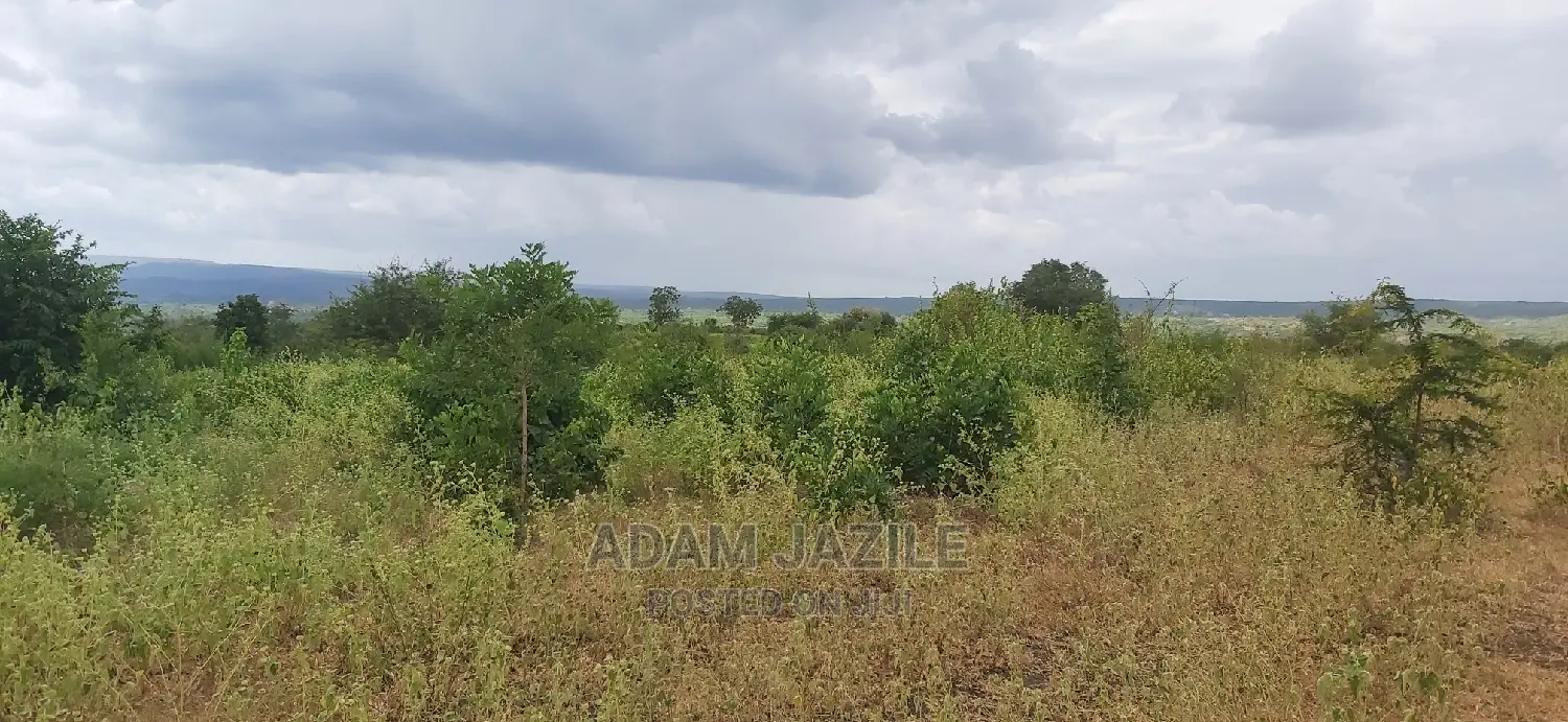 Shamba La Ekari 100 Linauzwa Mwetemo