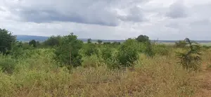 Shamba La Ekari 100 Linauzwa Mwetemo