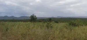 Shamba La Ekari 100 Linauzwa Mwetemo