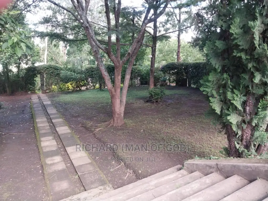 4bdrm Bungalow in Arusha for rent