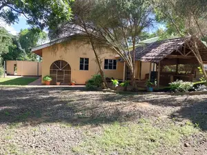 4bdrm Bungalow in Arusha for rent