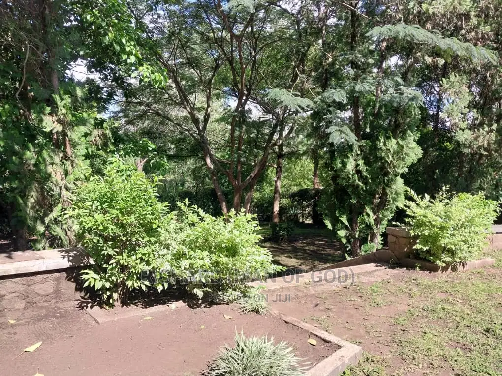 4bdrm Bungalow in Arusha for rent