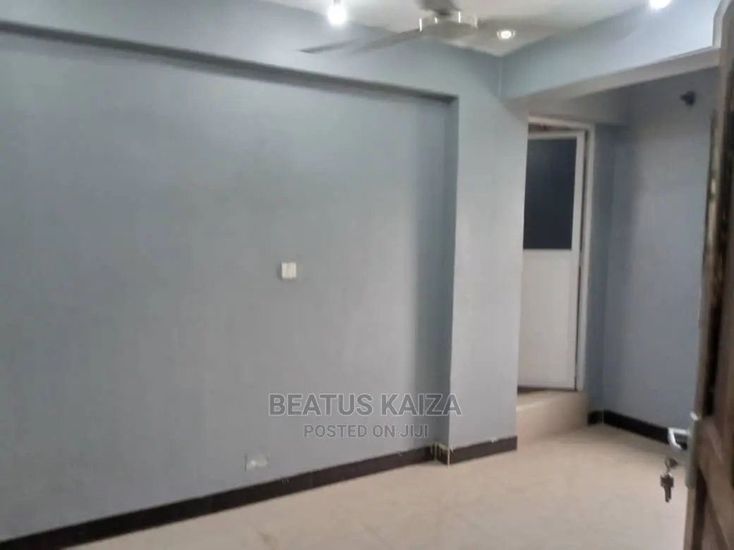 1bdrm Apartment in Kariakoo Likoma for rent