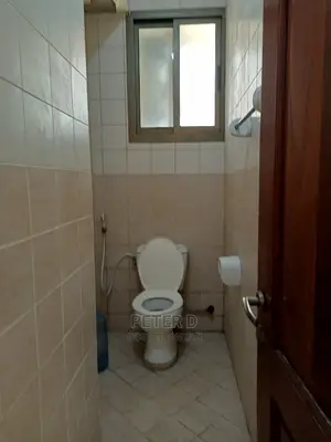3bdrm Apartment in Kariakoo for rent