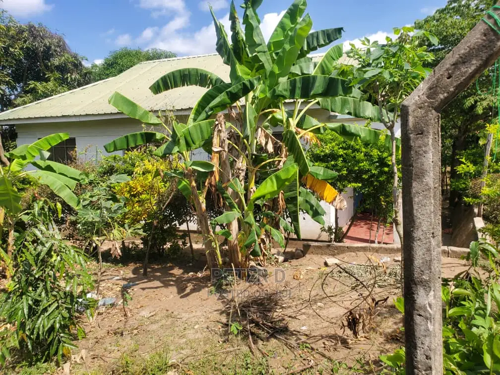 3bdrm House in Goba for sale