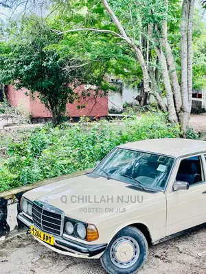Mercedes-Benz W123 1981 Beige