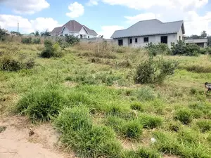 Mradi Bora Kabisa Wa Viwanja