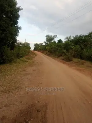 Acre 100 Mbwewe Zinauzwa