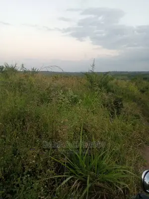 Acre 100 Zipo Barabarani Kabisa