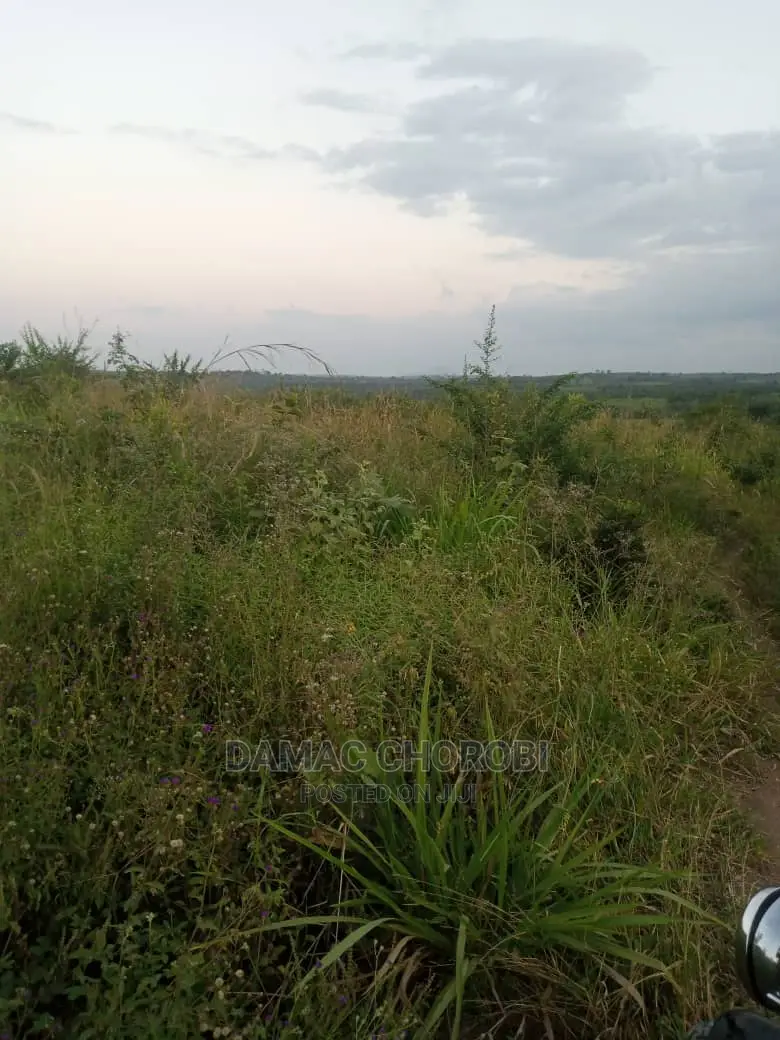 Acre 100 Zipo Barabarani Kabisa