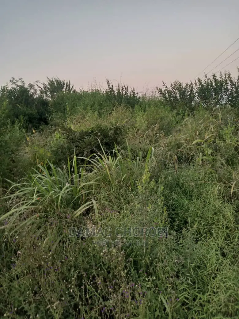 Acre 100 Zipo Barabarani Kabisa
