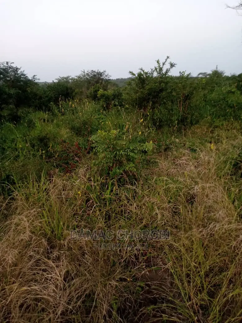 Acre 100 Zipo Barabarani Kabisa