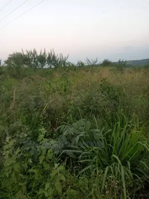200 Acre Zinauzwa Mbwewe