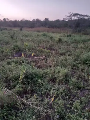 200 Acre Zinauzwa Mbwewe