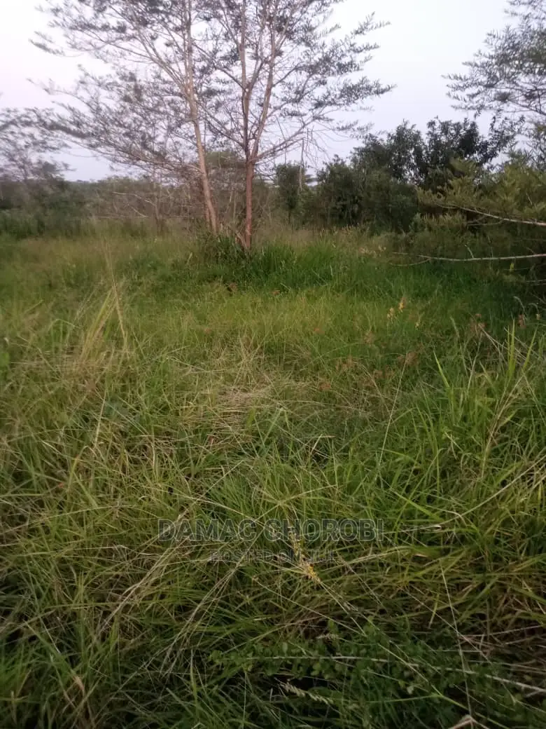 200 Acre Zinauzwa Mbwewe