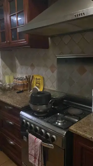 Furnished 3bdrm Apartment in Upanga for rent