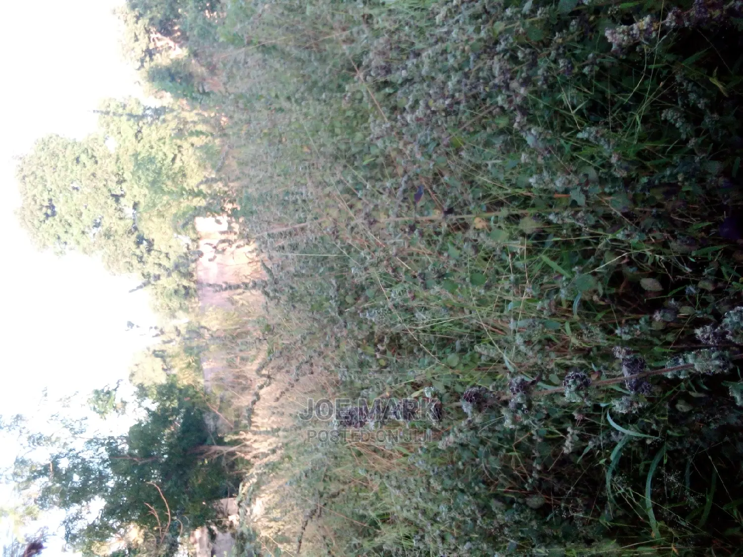 3bdrm House in Mark Real Estate, Kibaha for sale