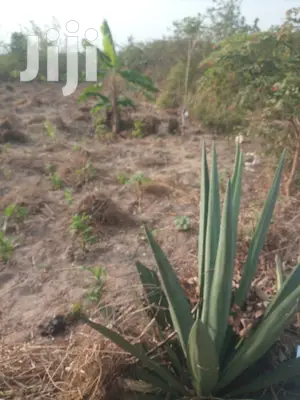 Kiwanja Kinauzwa