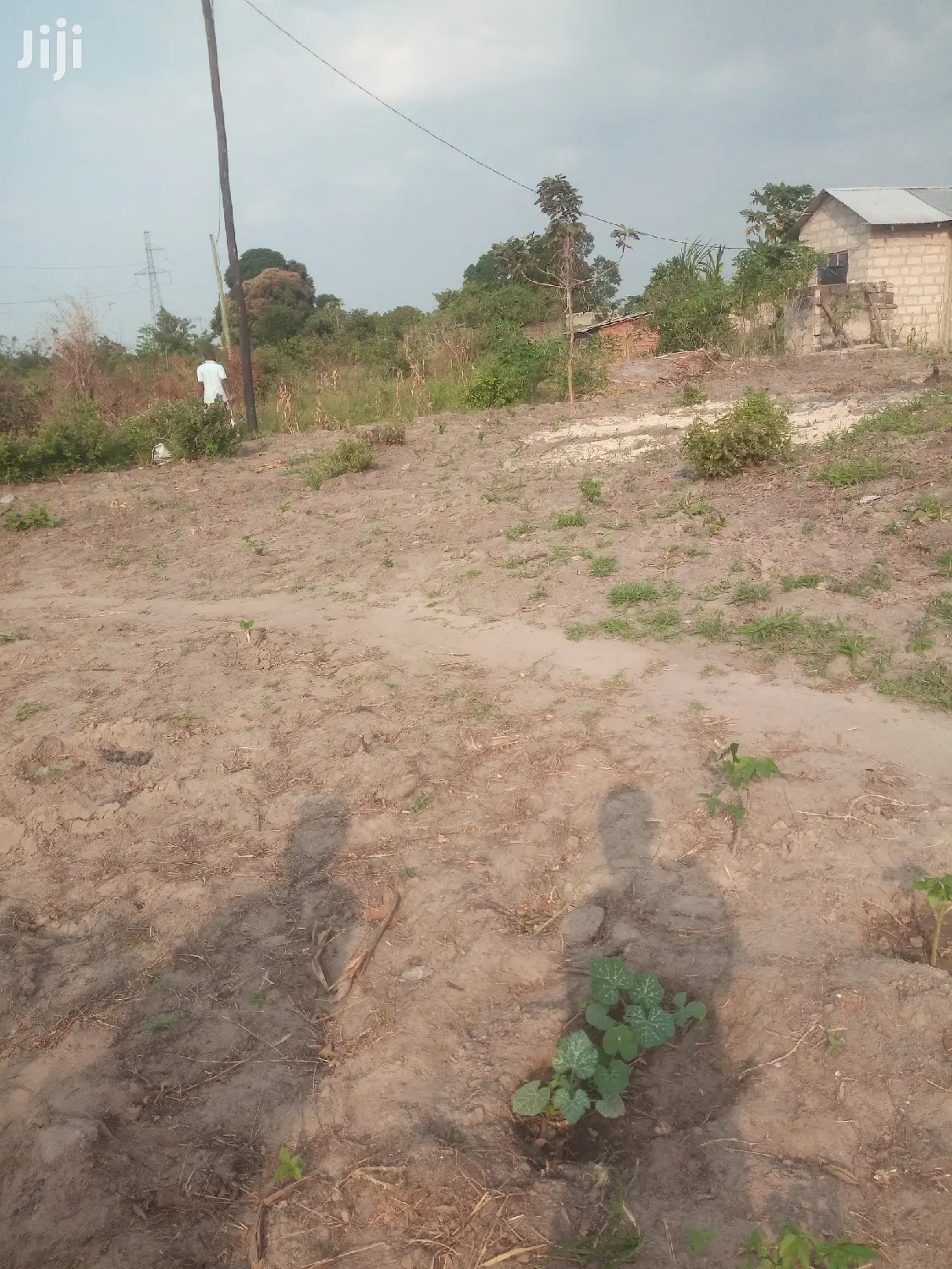 Kiwanja Kinauzwa