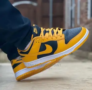 New Nike Sb