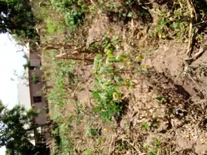 4bdrm House in Mark Real Estate, Kibaha for sale