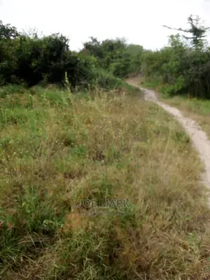 Shamba Linauzwa Vigwaza