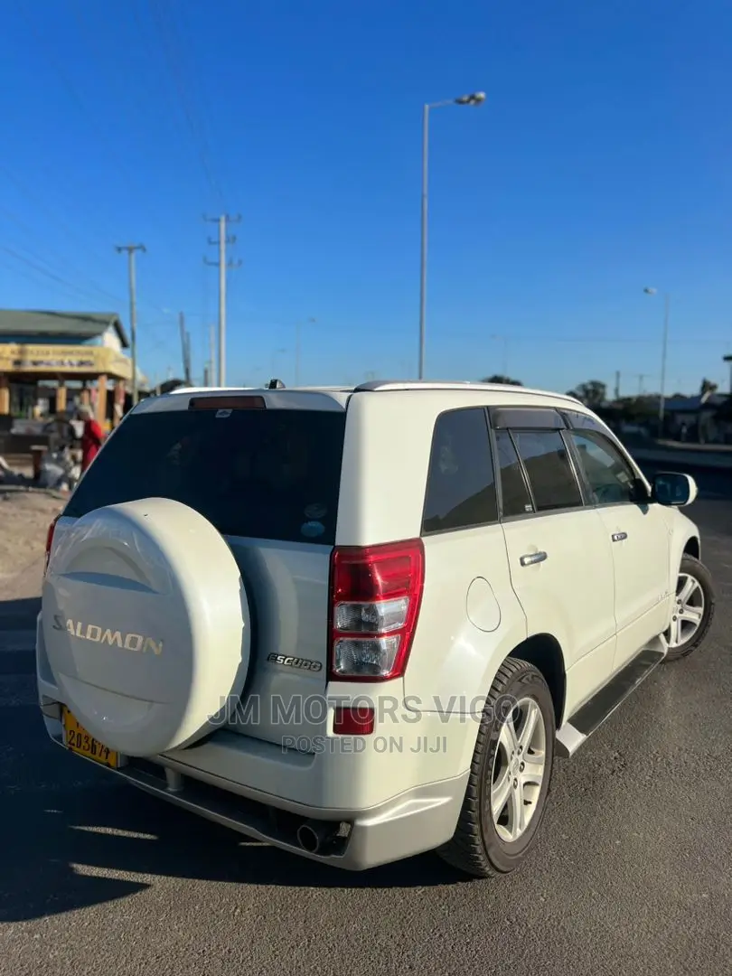 Suzuki Escudo 2006 Pearl