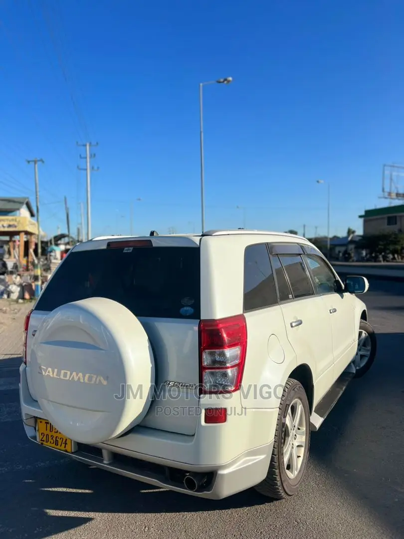 Suzuki Escudo 2006 Pearl